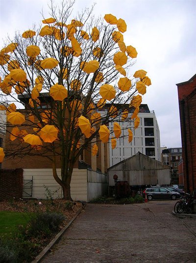 umbrella-tree